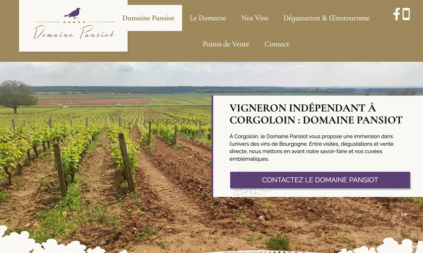 Aperçu du site de Domaine Pansiot