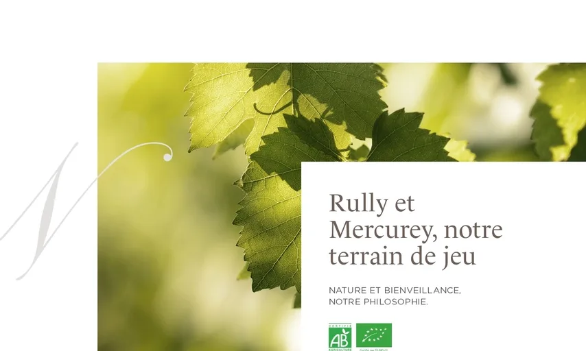 Aperçu du site de Domaine Ninot