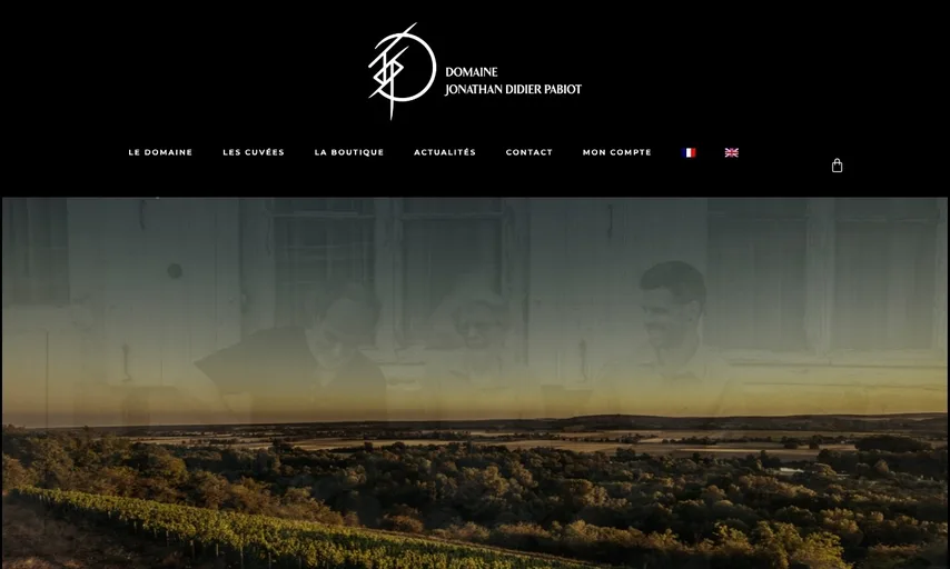 Aperçu du site de Domaine Jonathan Didier Pabiot